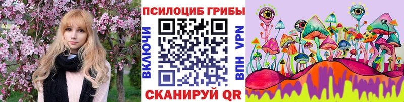 Псилоцибиновые грибы Cubensis  Серов 